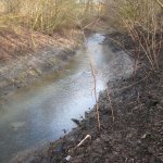 februar2010 023